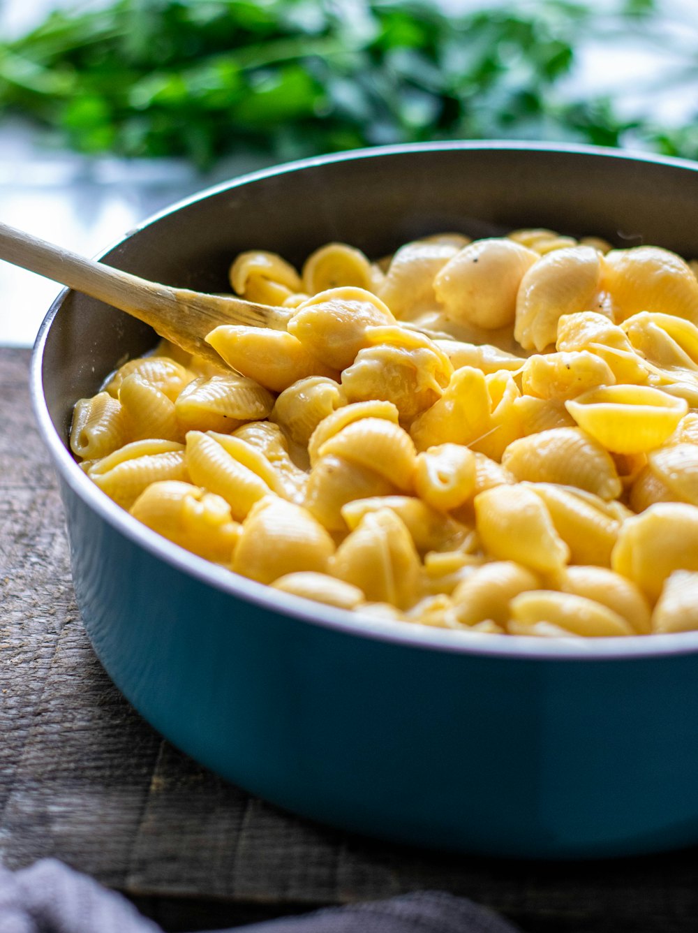 Stock photo of macaroni and cheese